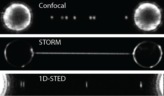 toc